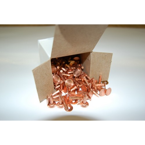 #9 Solid Copper Rivets and Burrs- 3/4